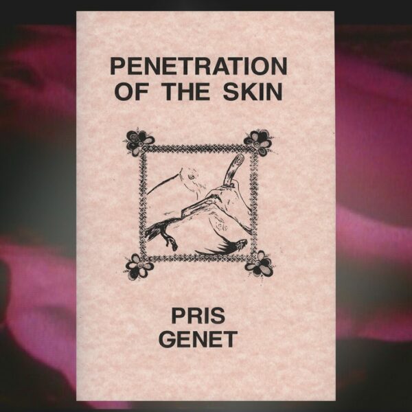 penetration-promo-cover