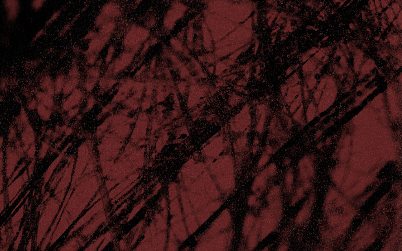 The Scope of the Thing: On Glass Giant by Speculum Fight