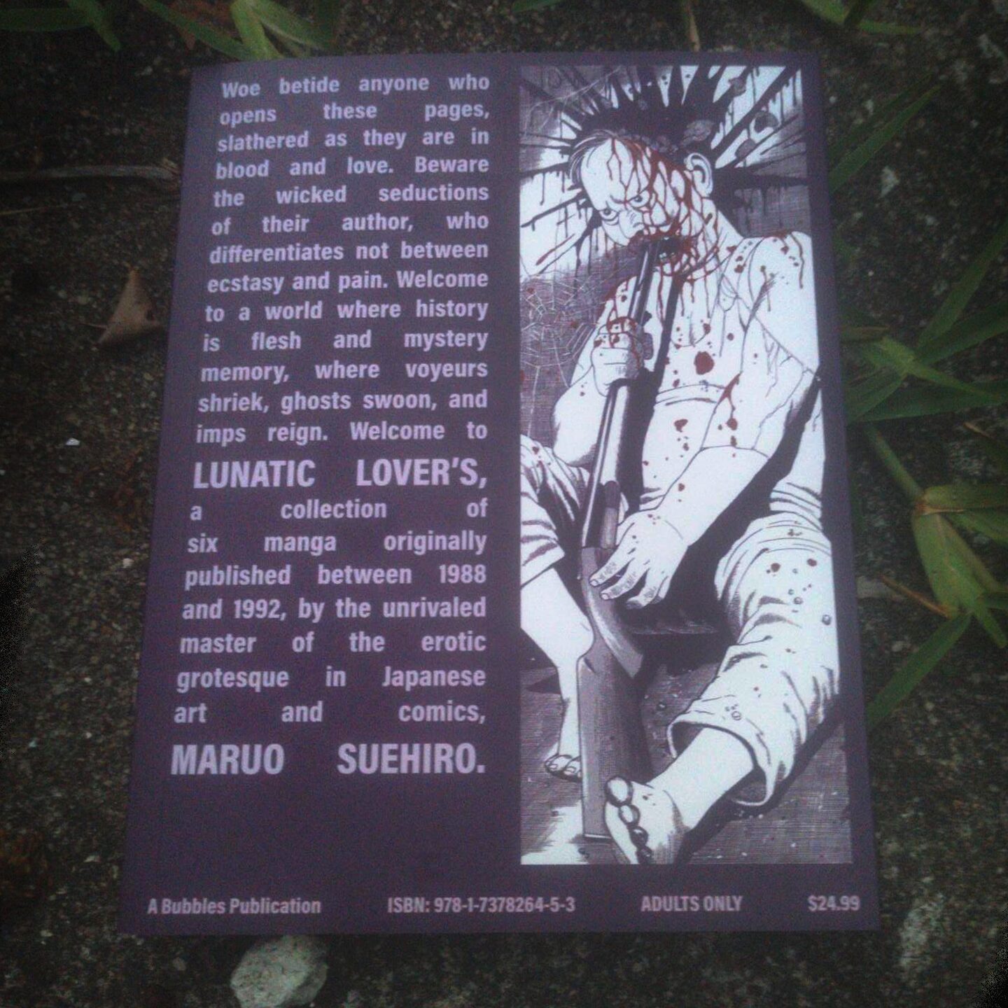 Lunatic Lovers - Image 2