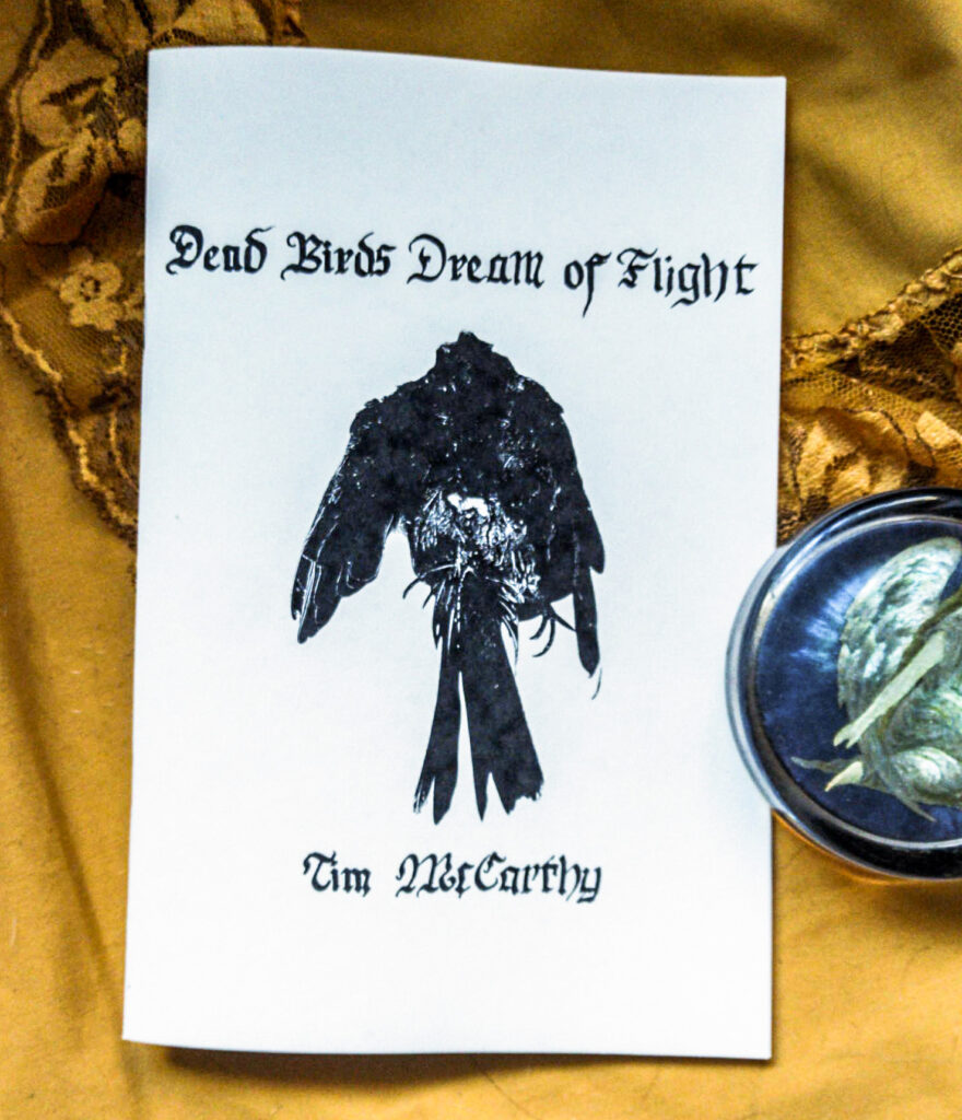 Dead Birds Dream of Flight